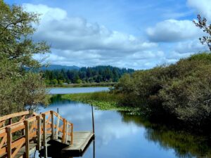 Buck Lake, Oregon shown from a pier. Blue skies and clouds are overhead and forests on the horizon and right side of the image